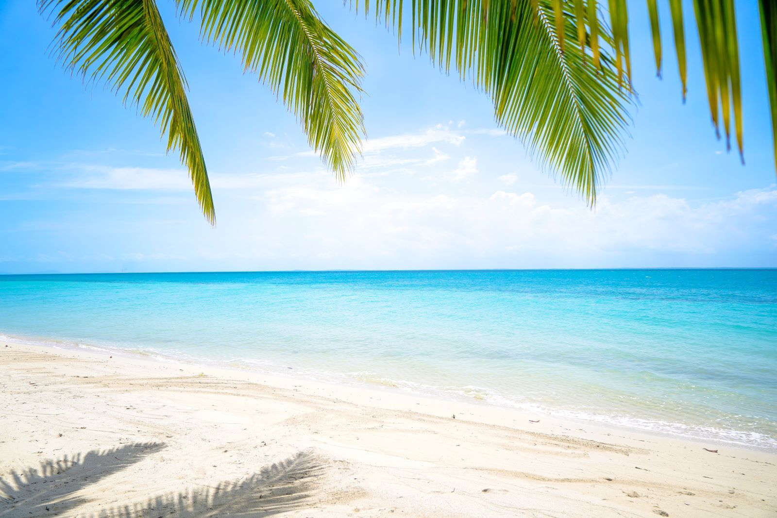 Dubai’s Private Beaches