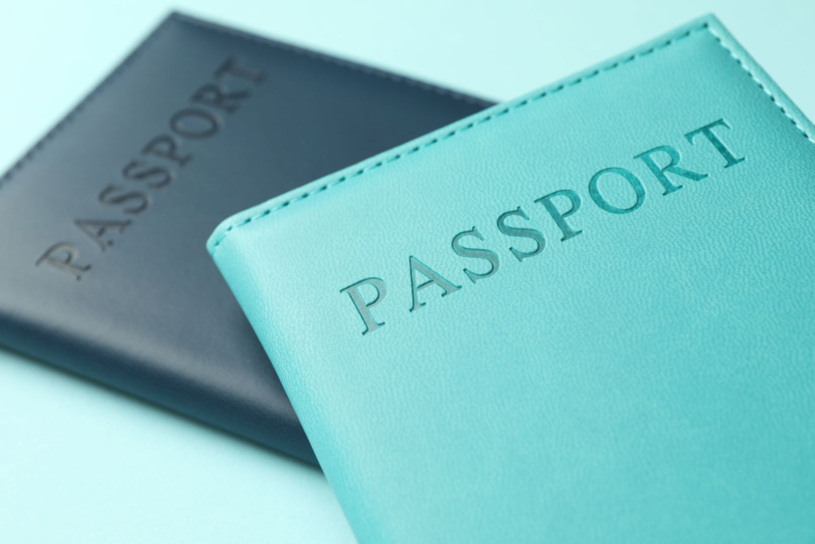 benefits of dual citizenship