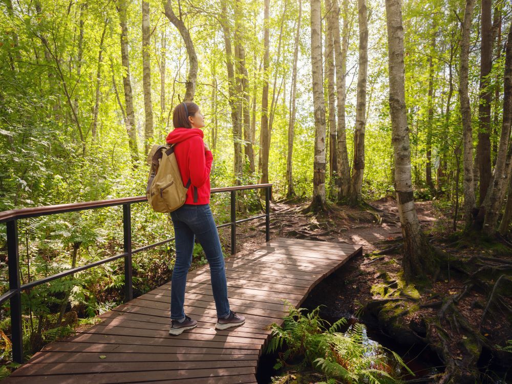 regenerative tourism