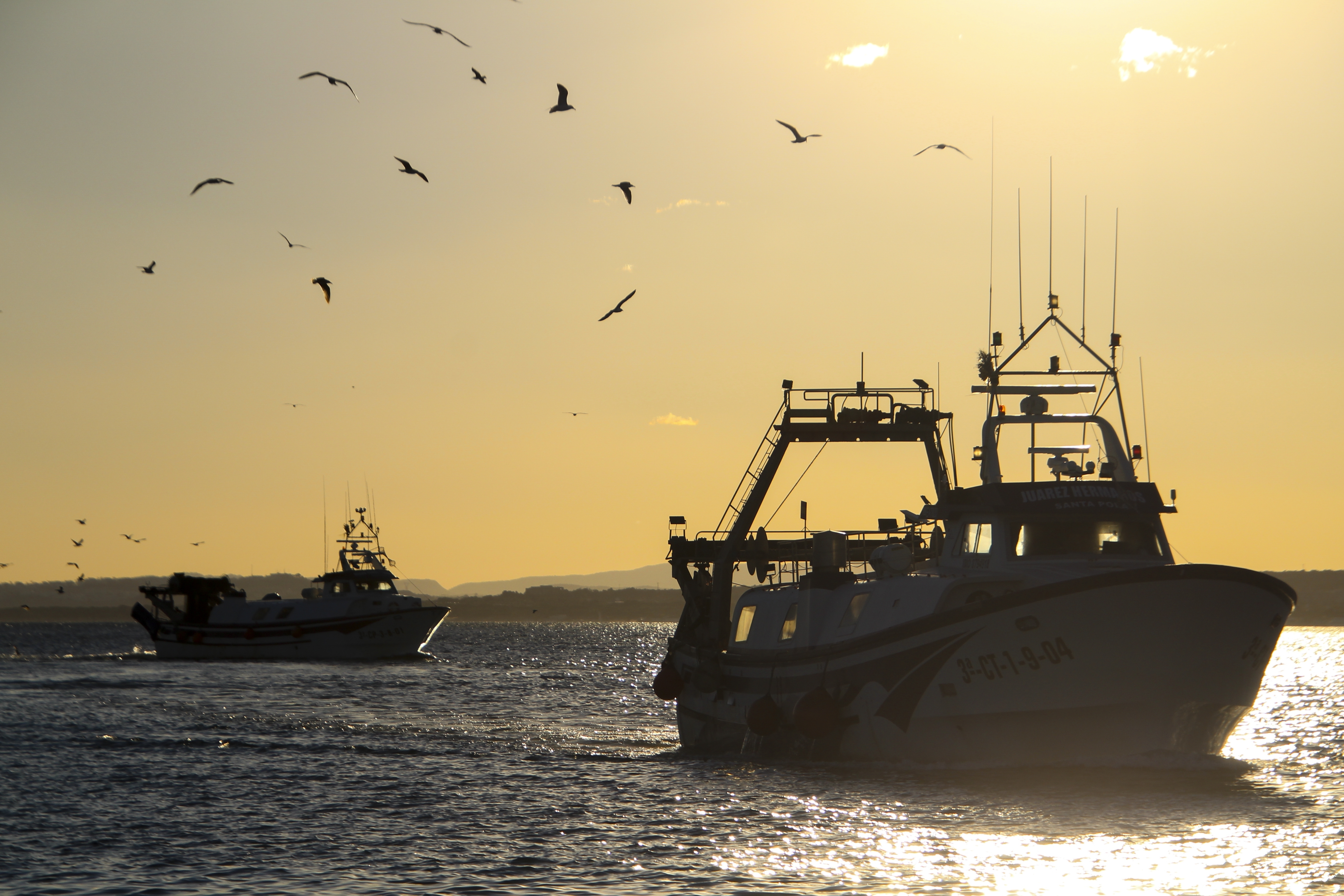 Fishing License in Dubai