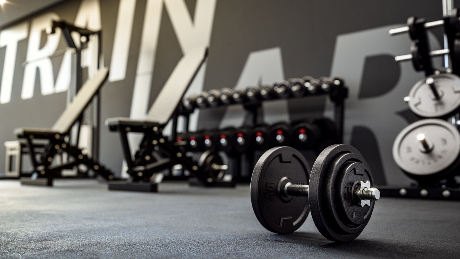 Al Barari Gyms