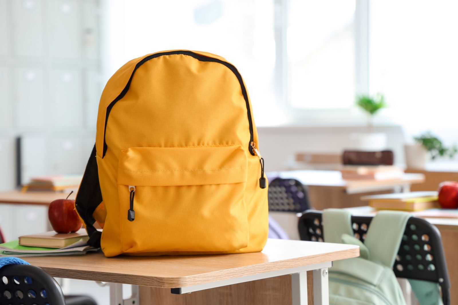 Schools Near Palm Jumeirah